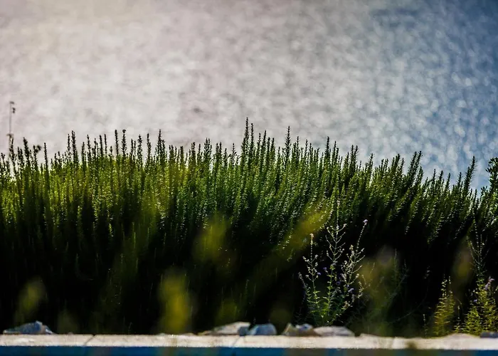 Βίλα Amarina Τρογκίρ